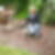 Profilbild von Sylke Borchers