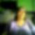 Profilbild von Michaela Schumacher