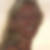 Profilbild von Nicole Osthoff