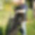 Profilbild von Thomas Buckschewski