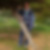 Profilbild von Heidrun Buschbeck