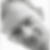 Profilbild von Rolf Haskamp