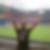 Profilbild von Andre Stern