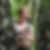 Profilbild von Birgit Zuchhold