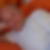 Profilbild von Manfred Rothmann