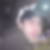 Profilbild von Tobias Roll