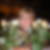 Profilbild von Beate Orlamünder