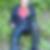 Profilbild von Peter Seibert
