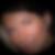 Profilbild von Dorothee Beier