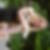 Profilbild von Andrea Knaup