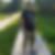 Profilbild von David Horn
