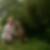 Profilbild von Birgit Schoo
