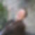 Profilbild von Annette Heyder-Wolfrum