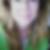 Profilbild von Petra Kühnel