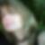 Profilbild von Mandy Setje-Eilers