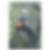 Profilbild von Sebastian Stockhecke