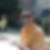 Profilbild von Andreas Hanke