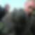 Profilbild von Sascha Becker