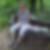 Profilbild von Estrid Albrecht