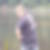 Profilbild von Dirk Kelling