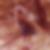 Profilbild von Susan Adler