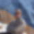 Profilbild von Mirko Brodbeck