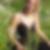 Profilbild von Monika Pavlovic