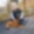 Profilbild von Paul-Walter Tresselt