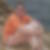 Profilbild von Simone Helm