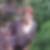 Profilbild von Julia Adam