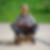 Profilbild von Stefan Heuft