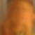 Profilbild von Svenja Böhler