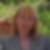 Profilbild von Gabriele Theimann