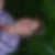 Profilbild von Cornelia Hanisch