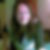 Profilbild von Kerstin Breithaupt