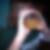 Profilbild von Max Matthias