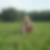 Profilbild von Ute Fischenich