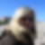 Profilbild von Nicole Schmidt