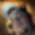 Profilbild von Sebastian Meyers