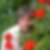 Profilbild von Birgit Halmen