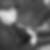 Profilbild von Vico Drechsel
