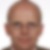 Profilbild von Bernd Pauer