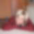 Profilbild von Kathleen Helm