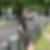 Profilbild von Robert Rybol
