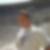 Profilbild von Norman Walter