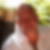 Profilbild von Manfred Pelzer