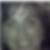 Profilbild von Liane Funken