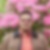 Profilbild von Daniel Scheer