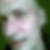 Profilbild von Rainer Brüninghaus