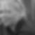 Profilbild von Sylvia Schwarz